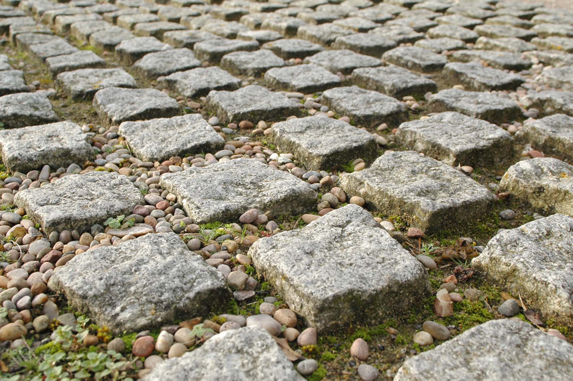 Landscape Architecture