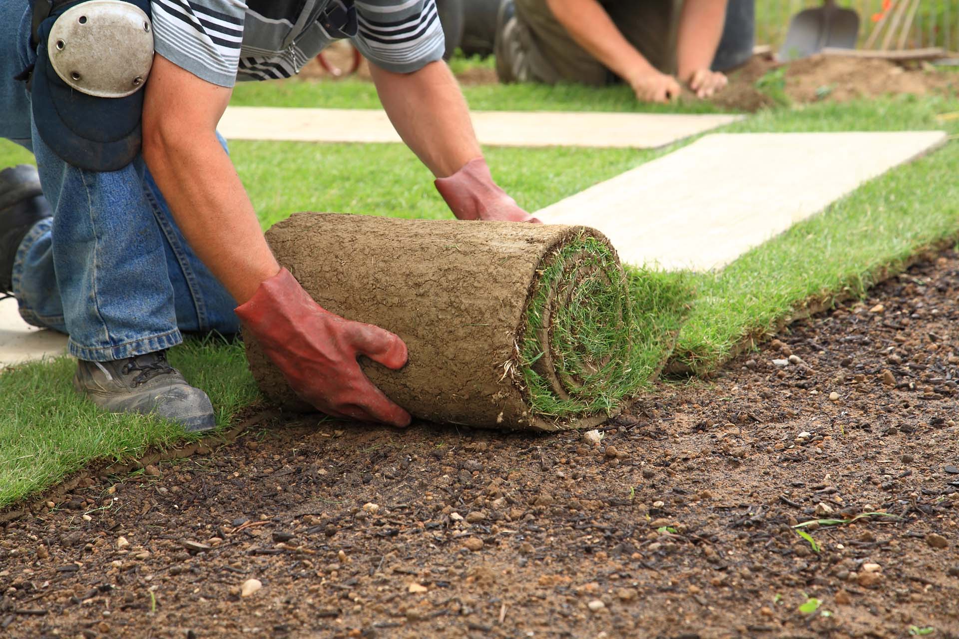 Landscape Maintenance