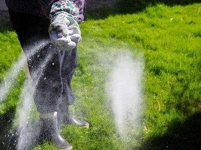 fertilizer for sod - Big Easy Landscaping