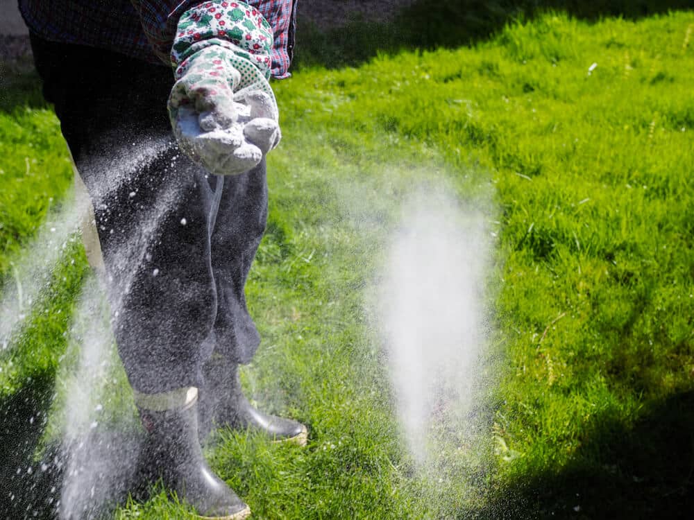 fertilizer for sod - Big Easy Landscaping