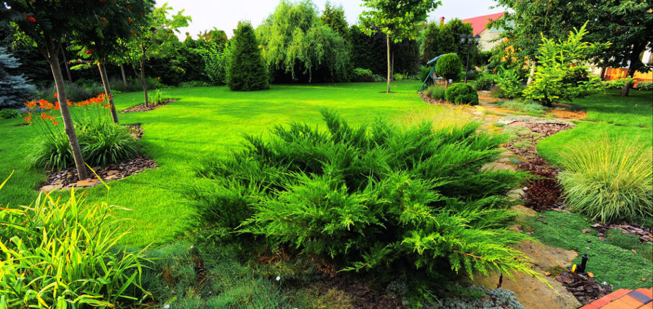 small front yard landscaping - Big Easy Landscaping