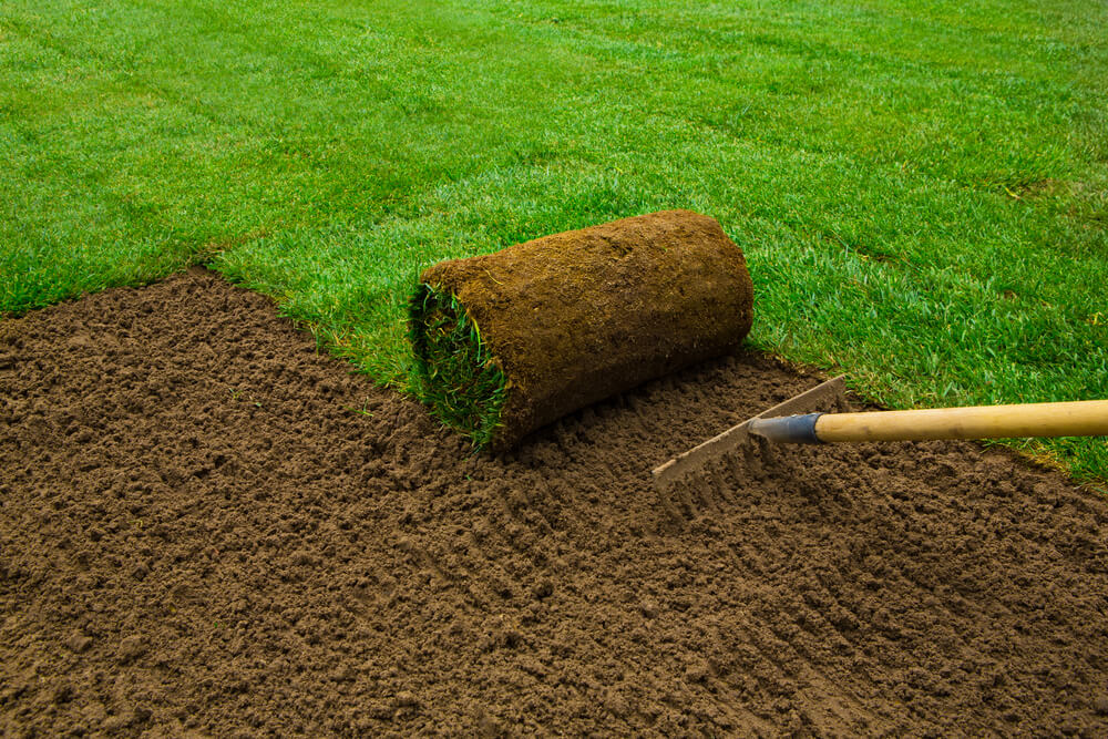 pieces of sod - Big Easy Landscaping