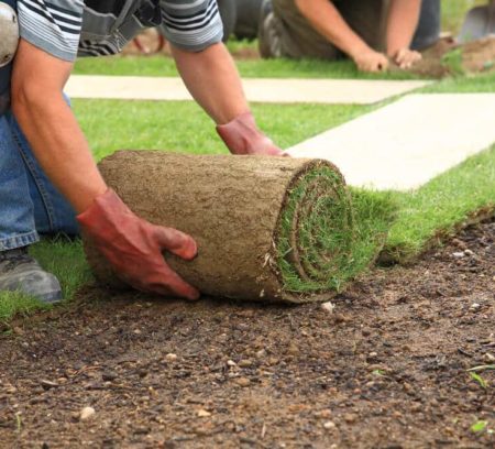sod installation - Big Easy Landscaping