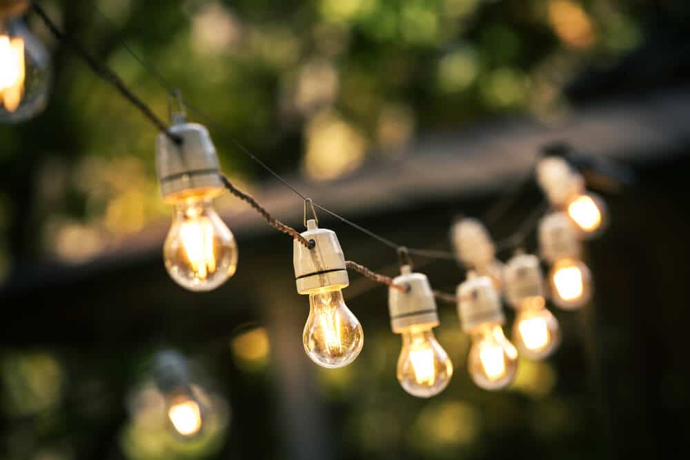 Outdoor Lighting: Highlighting Your New Orleans Landscape