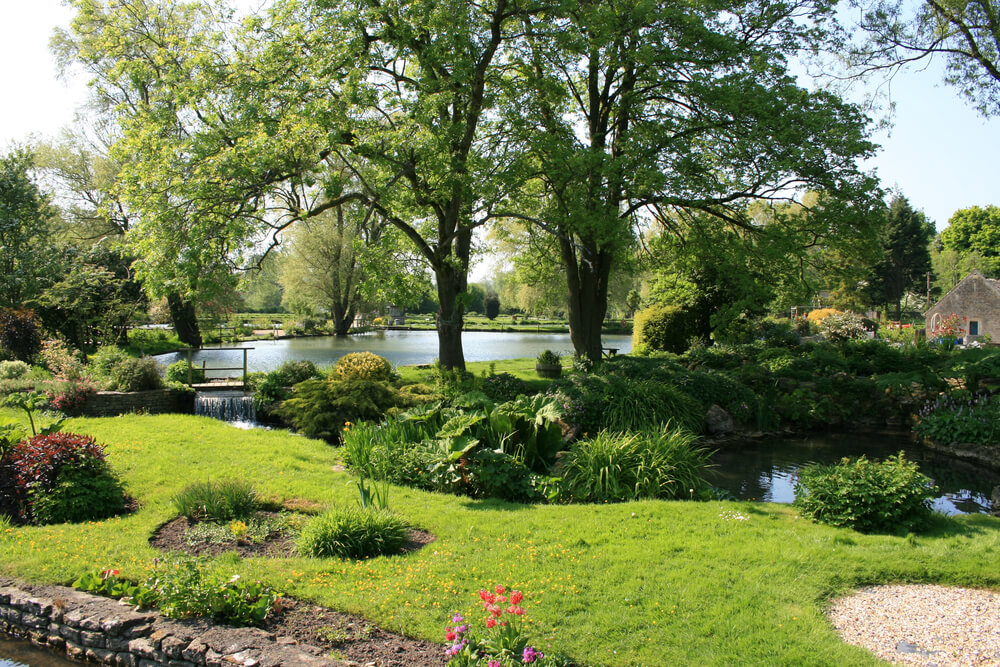 trees for gardens - Big Easy Landscaping