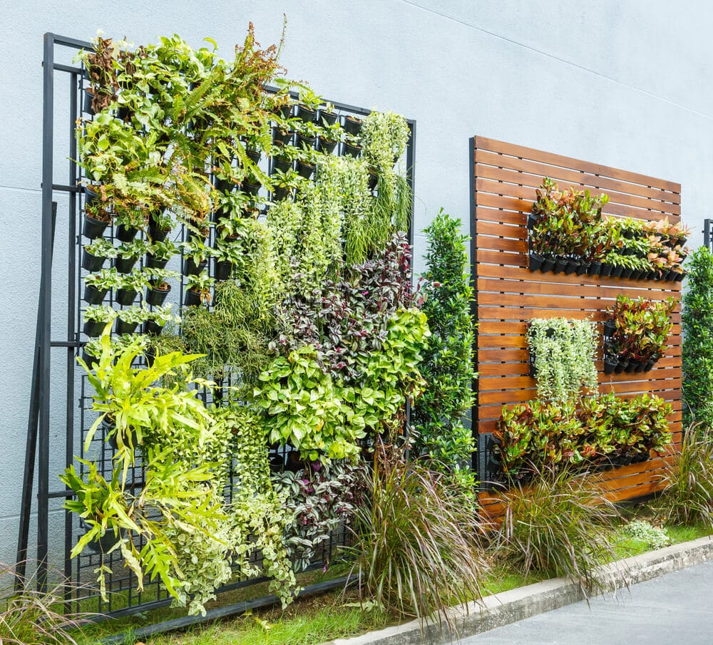 vertical gardens - Big Easy Landscaping