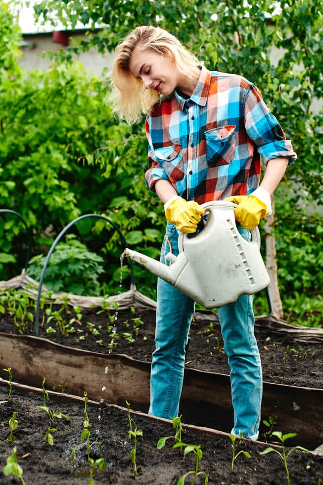 water your sod - Big Easy Landscaping