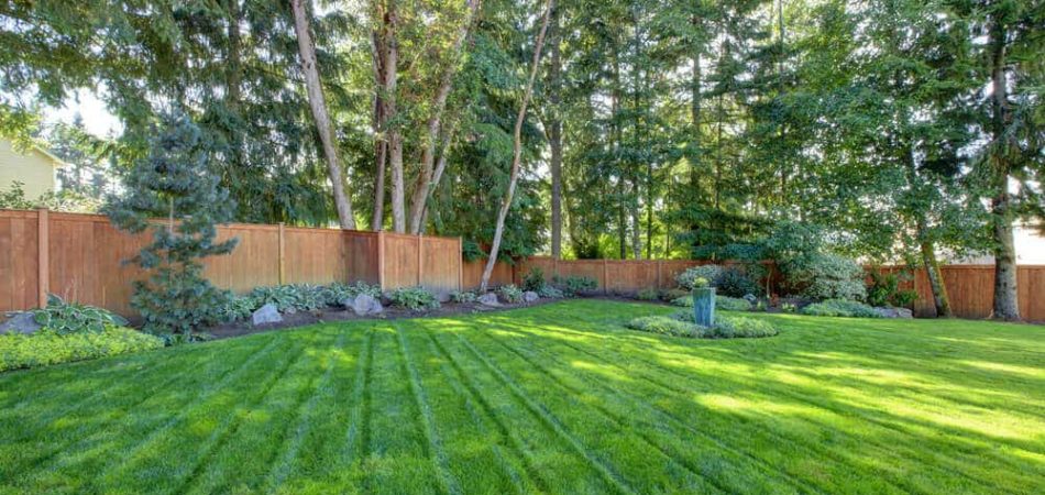 a freshly mowed lawn with trees and a fence