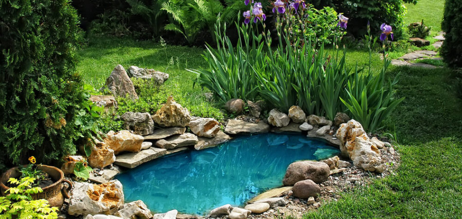 Garden Pond New Orleans