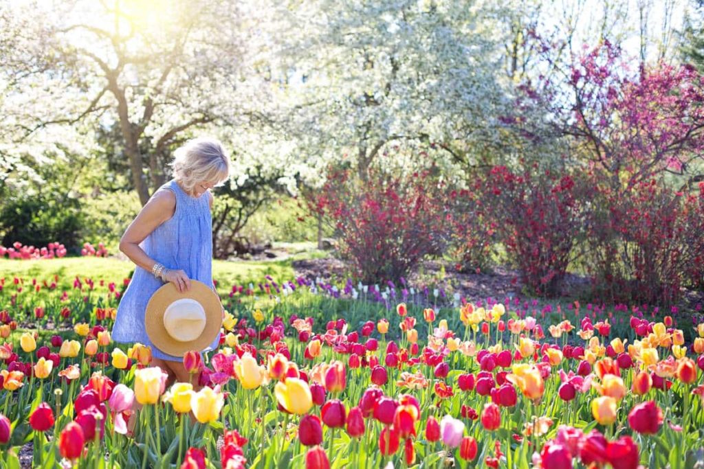 Best Landscape Flowers for Summer to Jumpstart the Season in New Orleans, LA