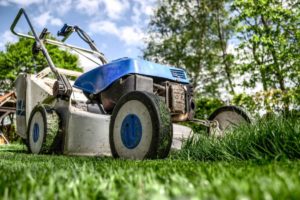 lawn care secrets new orleans