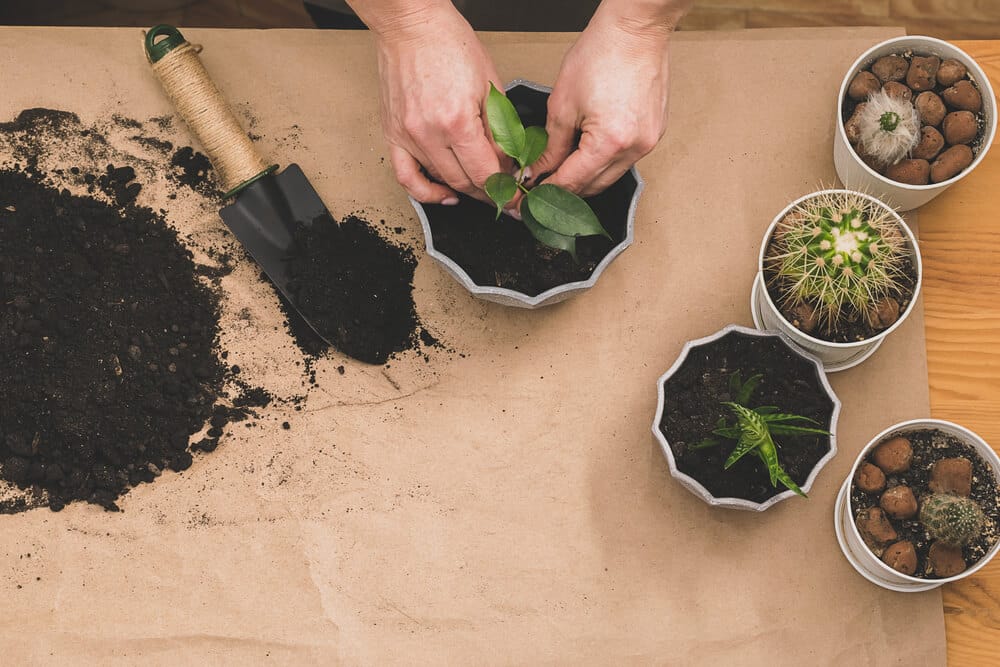 Your Best Looking Garden Yet: Today’s Landscaping Trends in New Orleans, LA