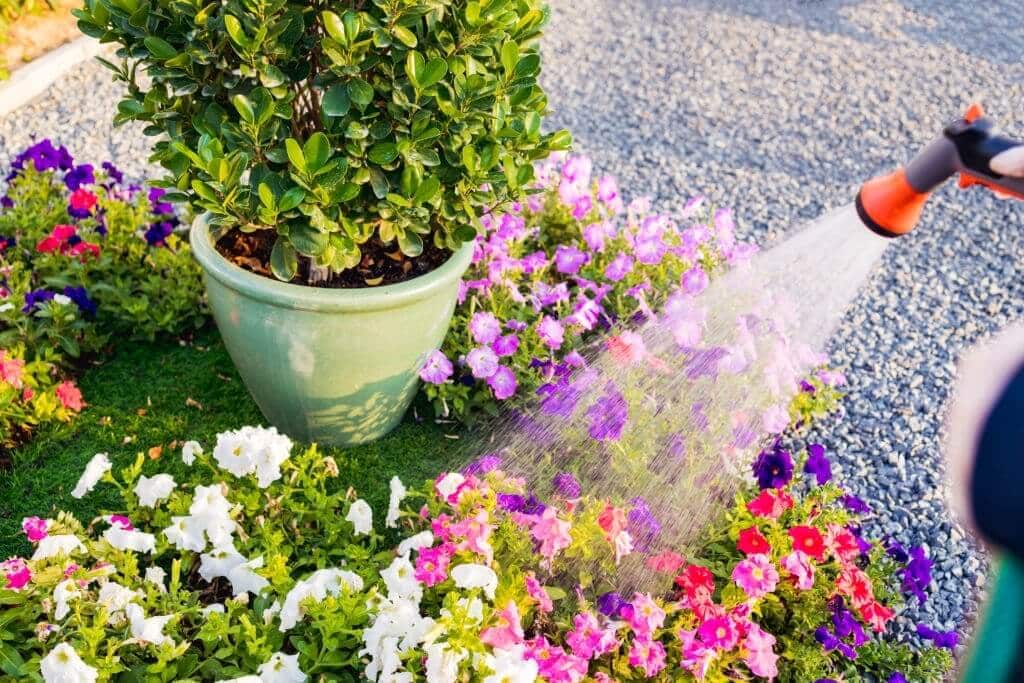 A Smart Spring Yard Cleanup Checklist to Cheer Up Your Residential and Commercial Landscaping in New Orleans, LA