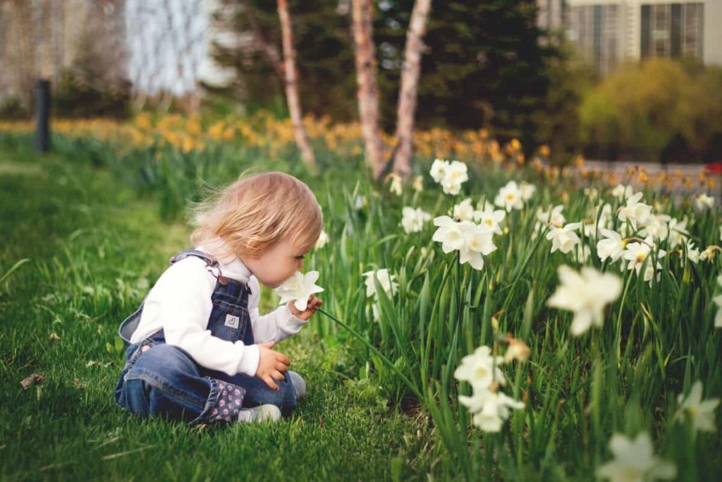 Your Journey To Gardening: How To Better Take Care Of Your Outdoor Plants in New Orleans, LA