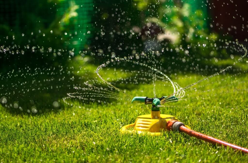 Water-Wise Landscaping: Sustainable Solutions for a Changing Climate in New Orleans, LA