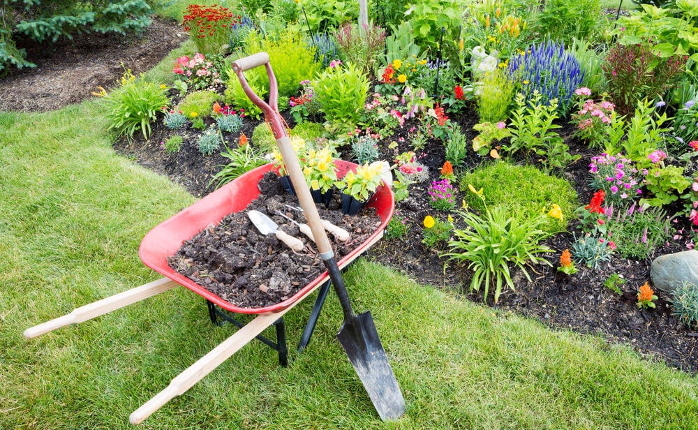 Beat The Heat: Have You Prepared Your Landscape For Summer? in New Orleans, LA