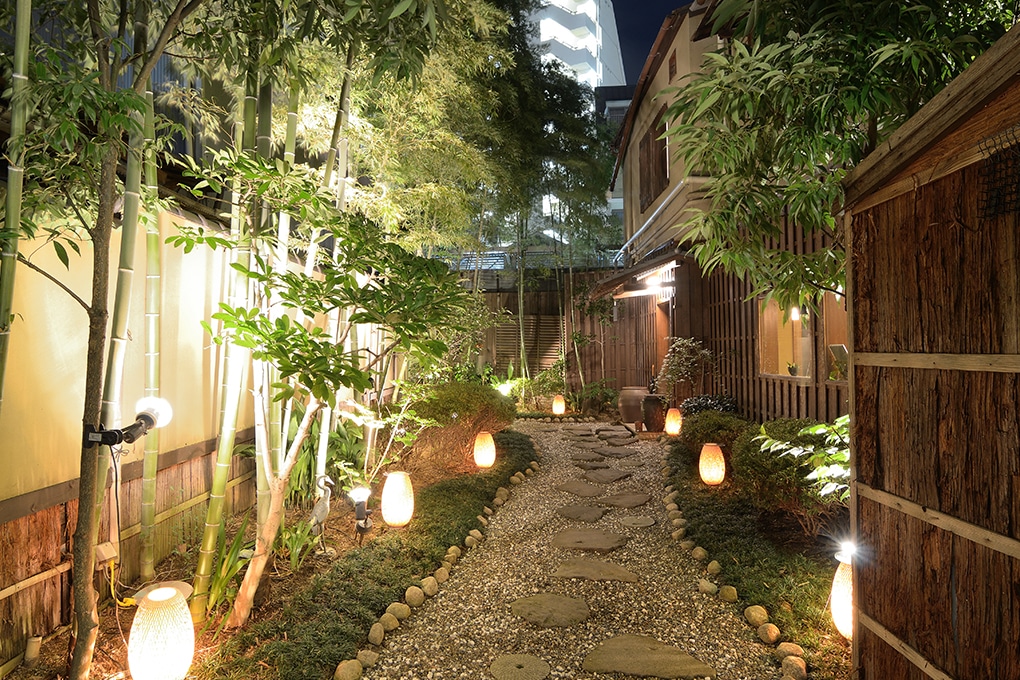 15 Landscape Lighting Ideas for Your Yard in New Orleans, LA