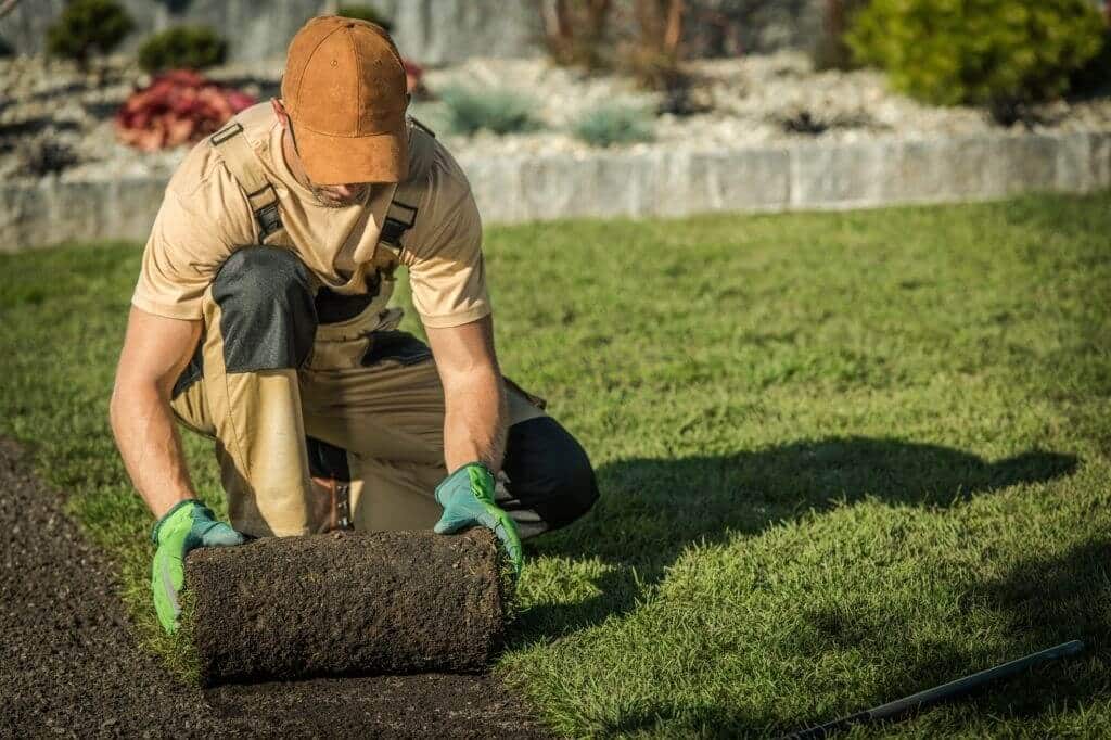 5 Types of Landscaping You Should Know About in New Orleans, LA