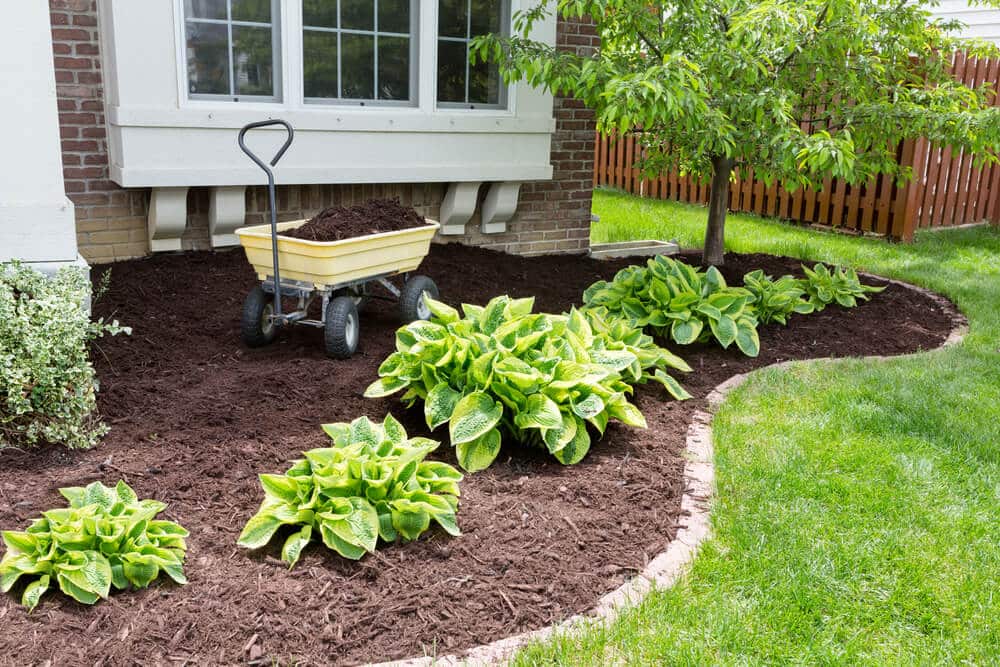 How to Prepare Your Garden for Spring in 8 Easy Steps - Big Easy Landscaping