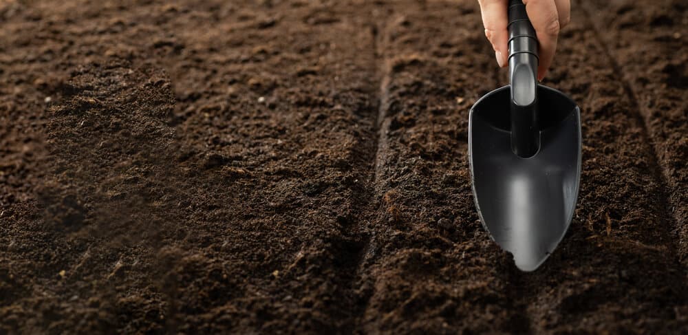 Prepare The Soil