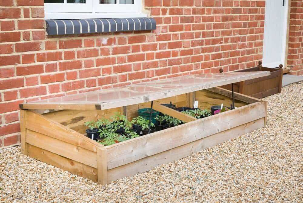 Spruce up yard with plants