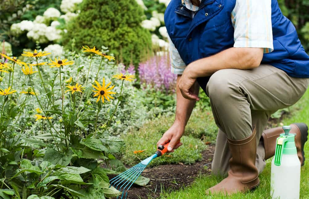 Best lawn care company in New Orleans