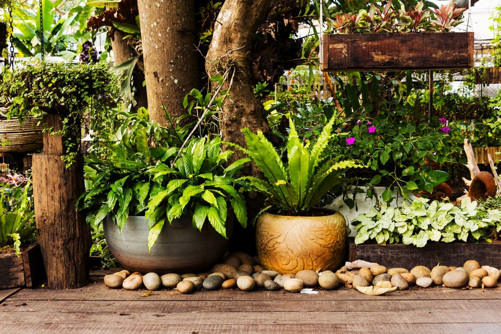 Small garden