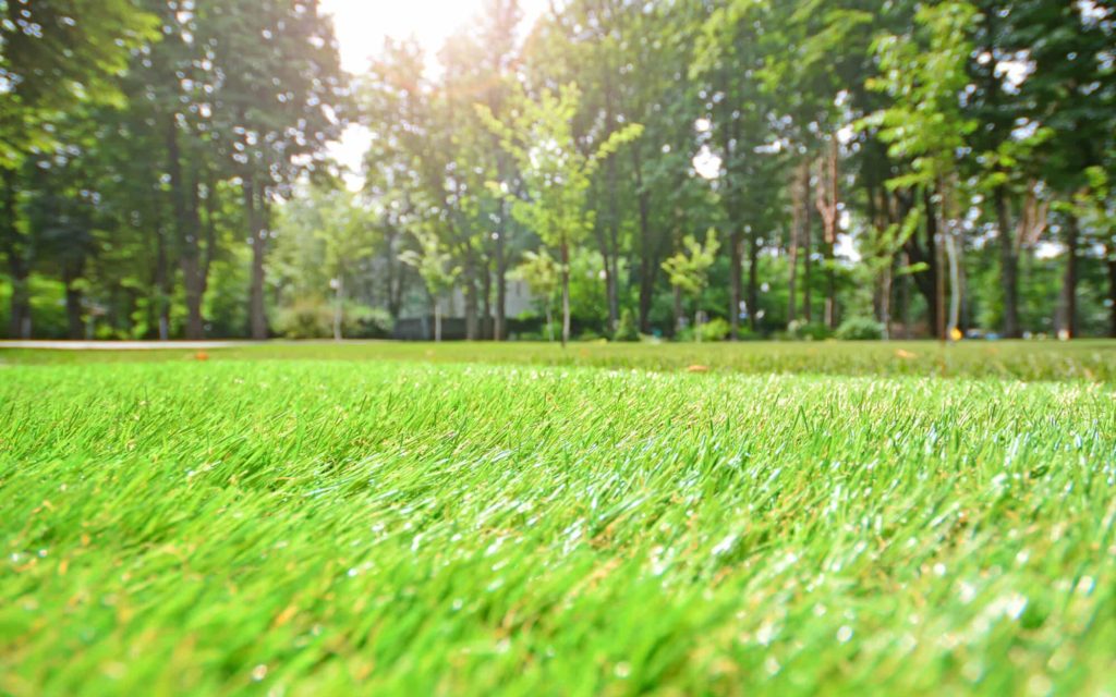 8 Easy Landscaping Ideas for an Artificial Grass Landscape in New Orleans, LA