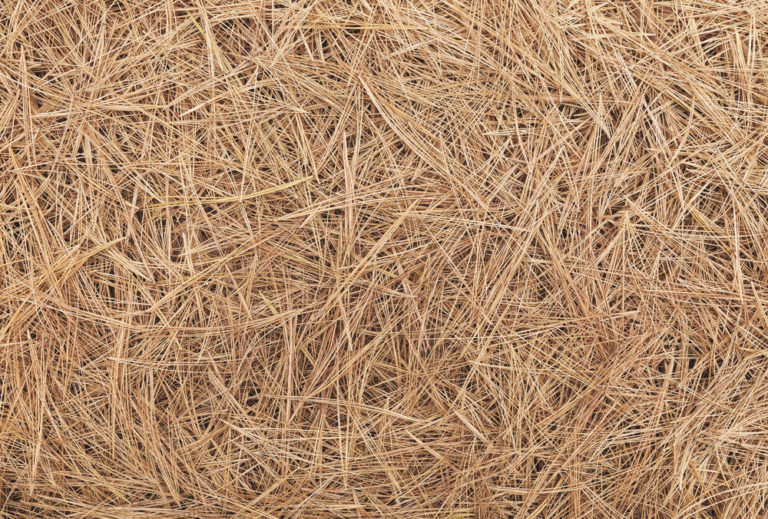 Front Yard Landscaping Ideas With Pine Straw Big Easy Landscaping
