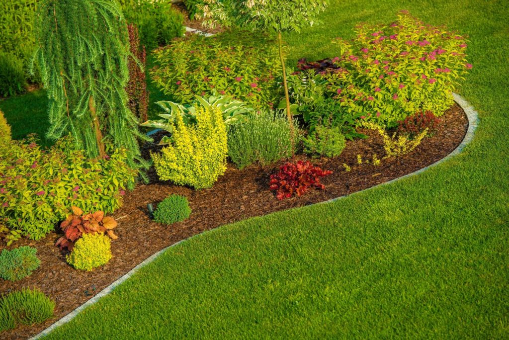 Front Yard Landscaping Ideas With Pine Straw: Excellent Material for Both Home and Business Owners in New Orleans, LA