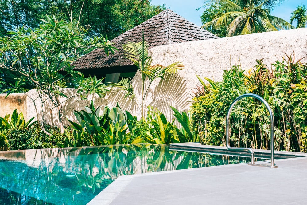 Enhance Your Pool Area by Selecting the Finest Plants to Surround Your Pool in New Orleans, LA