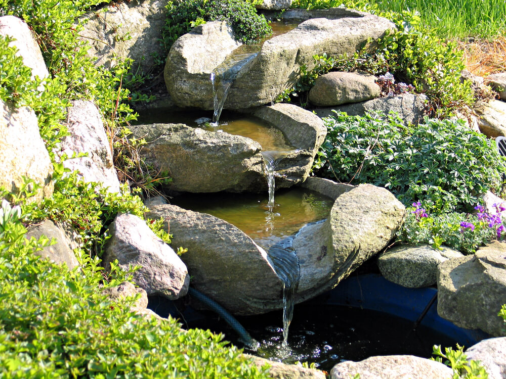 backyard stream