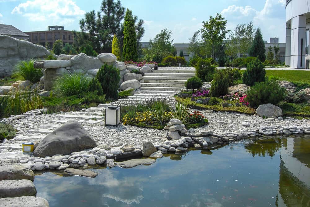 rock garden
