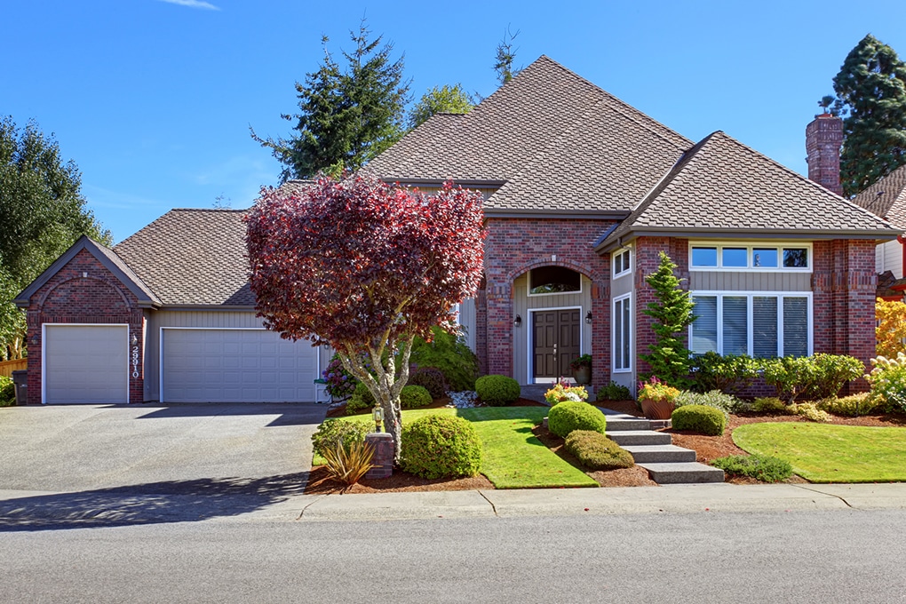 a house with a driveway, wide and clean landscape and a tree