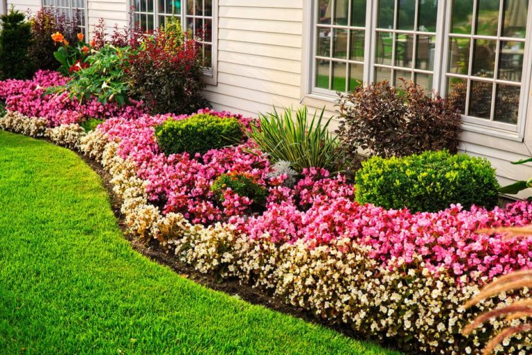 Big Easy Landscaping serving New Orleans