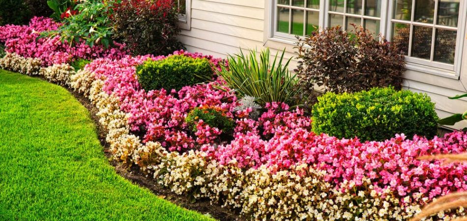 Beautiful and colorful flower garden, expertly landscaped.