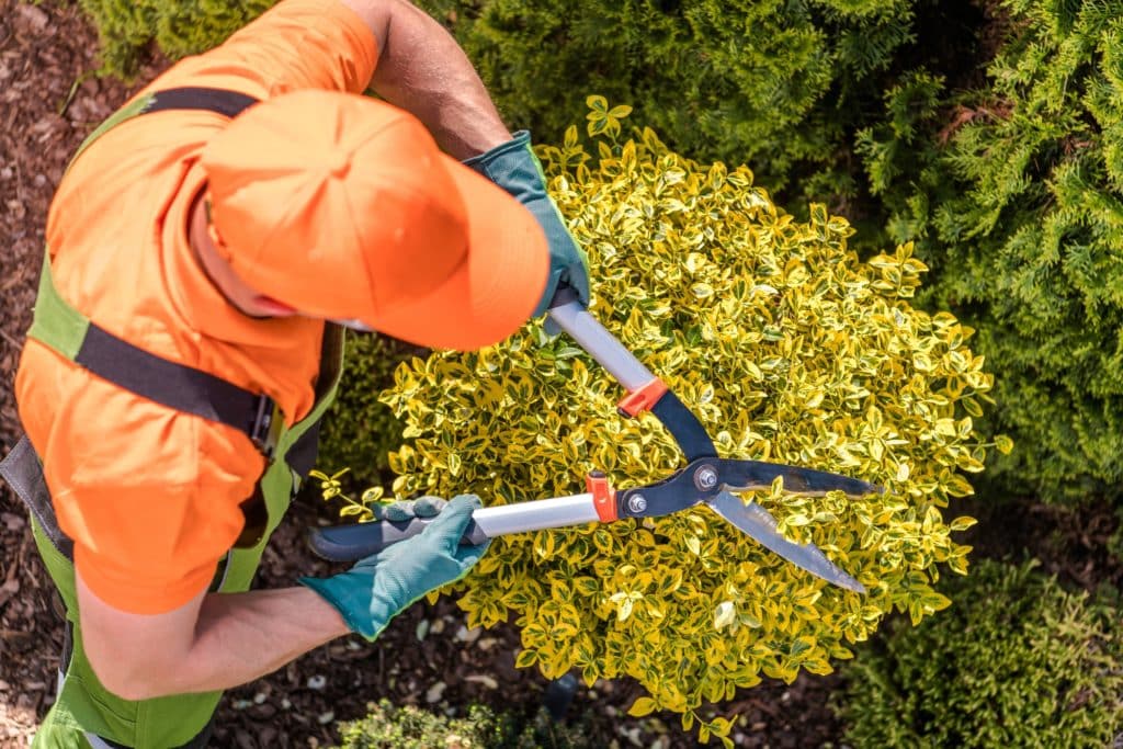 How Often Do You Need To Maintain Landscaping? in New Orleans, LA