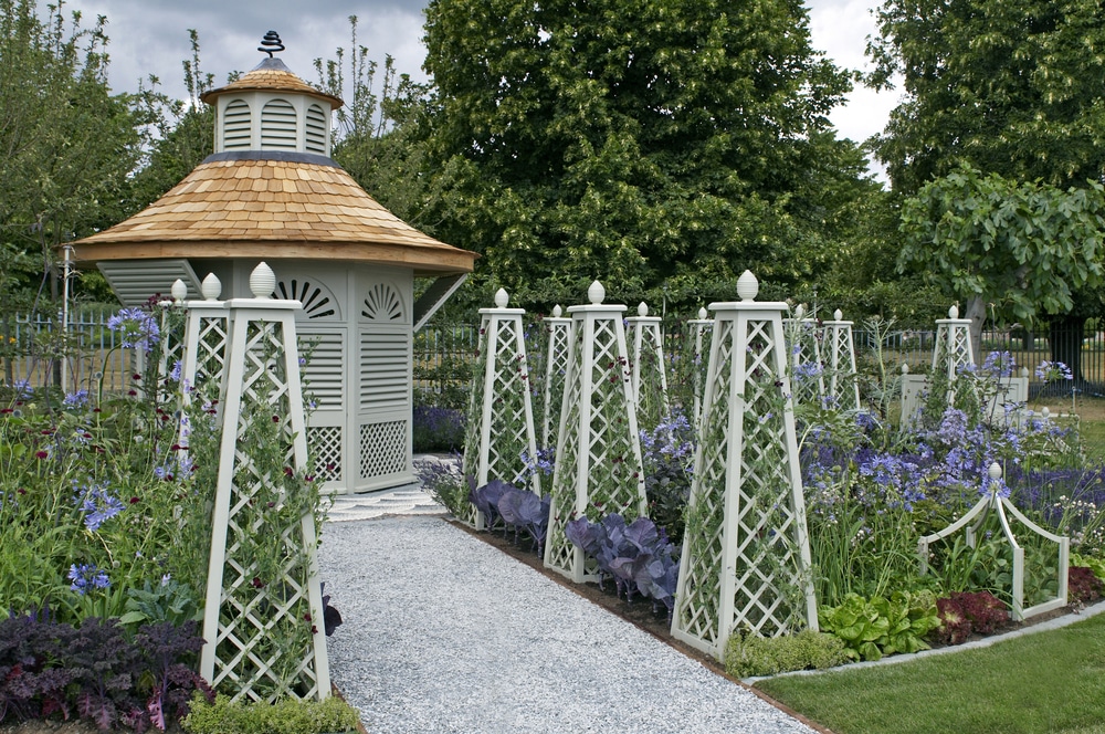 A Beekeeper's garden: Wildlife-Friendly Landscaping