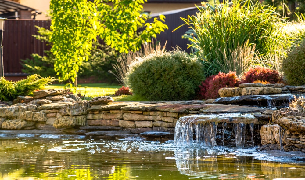 modern landscaping
