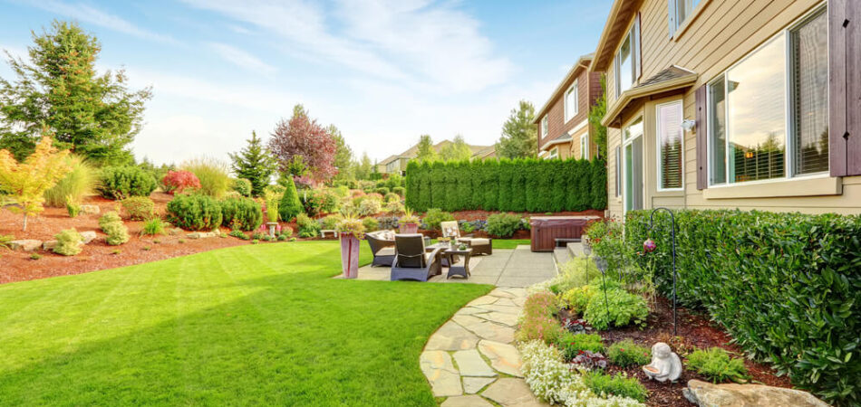garden landscape
