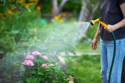 garden watering