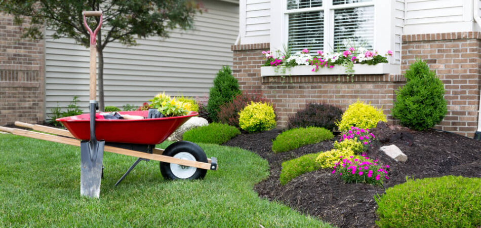 landscape maintenance