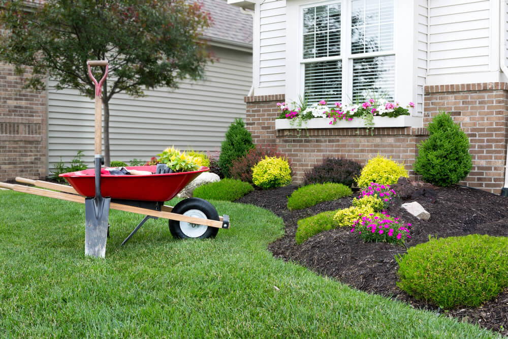 Landscape Maintenance Tips: Keeping Your New Orleans Yard Beautiful