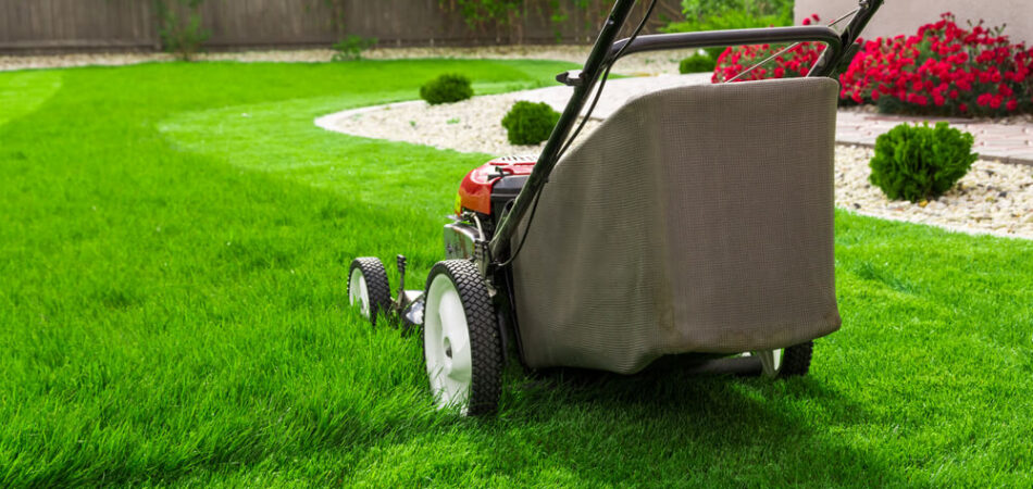 lawn mower for lawn care