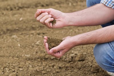 soil checking