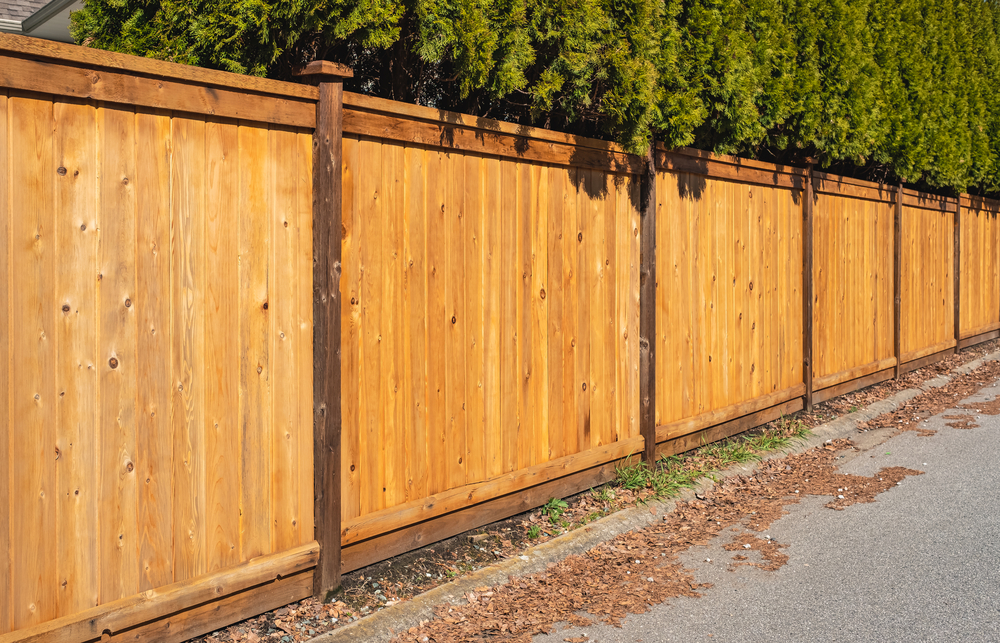 Wood Fence Design Ideas for New Orleans Landscapes
