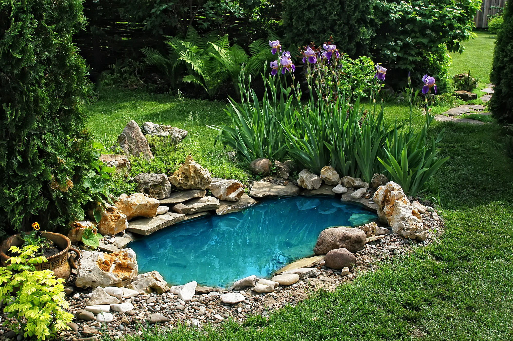 Landscaping contractors in New Orleans