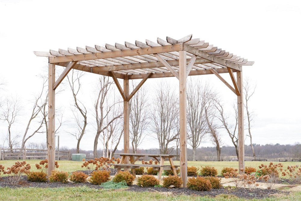 Pergola for garden