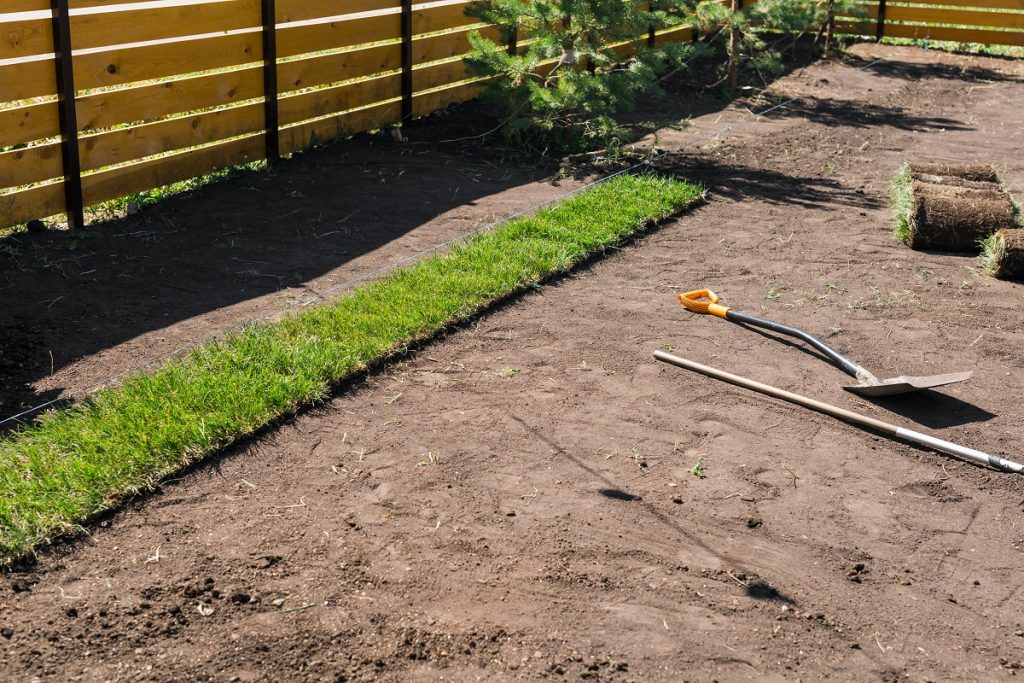 Should You Fertilize Before or After Installing Sod? in New Orleans, LA