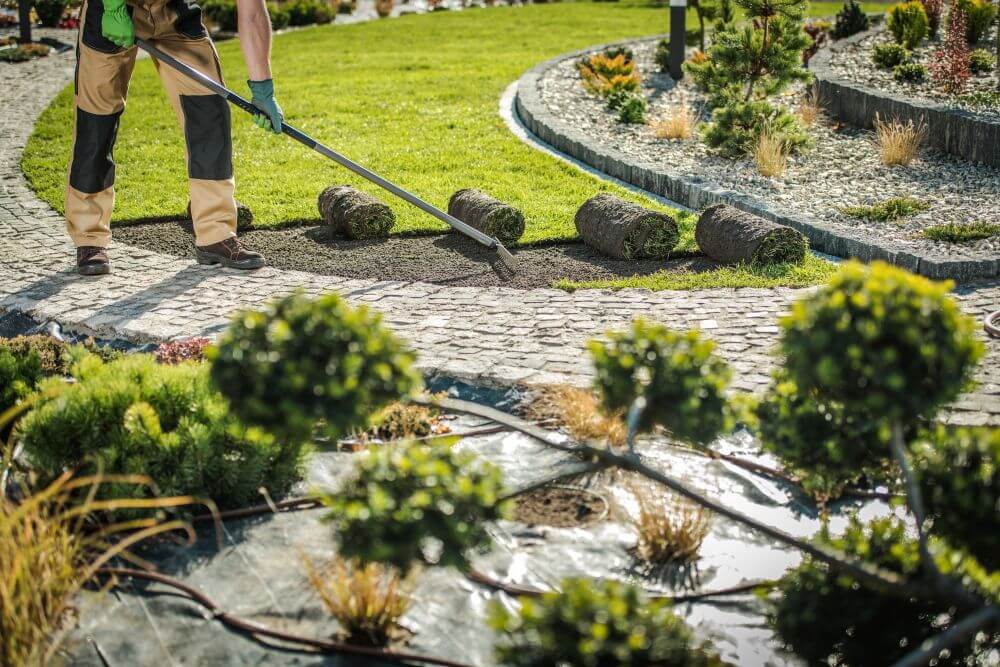 Worker replacing grass patches in a garden - Big Easy Landscaping